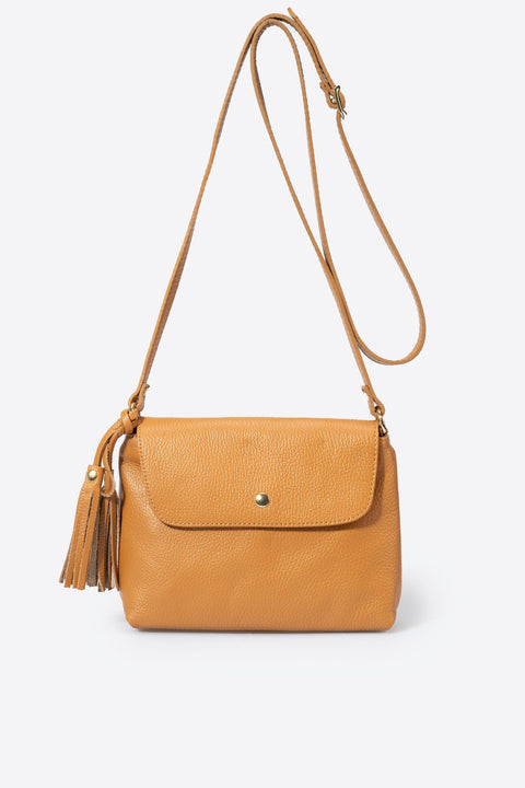 ASTER BROWN