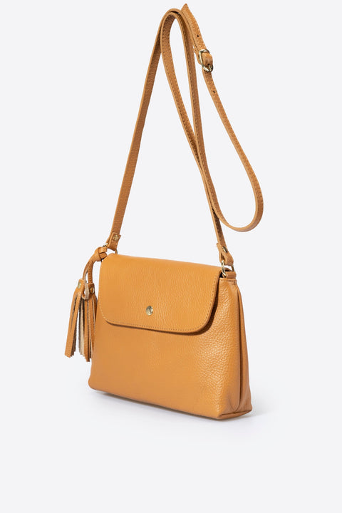 ASTER BROWN