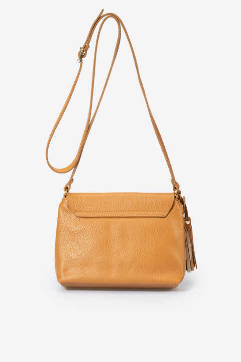 ASTER BROWN
